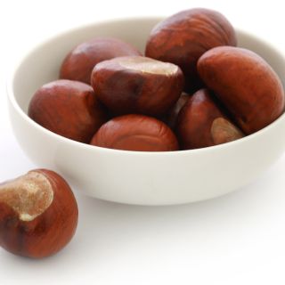 Extrato de Castanha-da-Índia